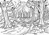 Wald Ausmalbild Kostenlose Malvorlage Malvorlagen sketch template