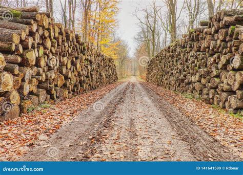 stapel van ruw houten timmerhout op plaats bij spoor stock afbeelding image
