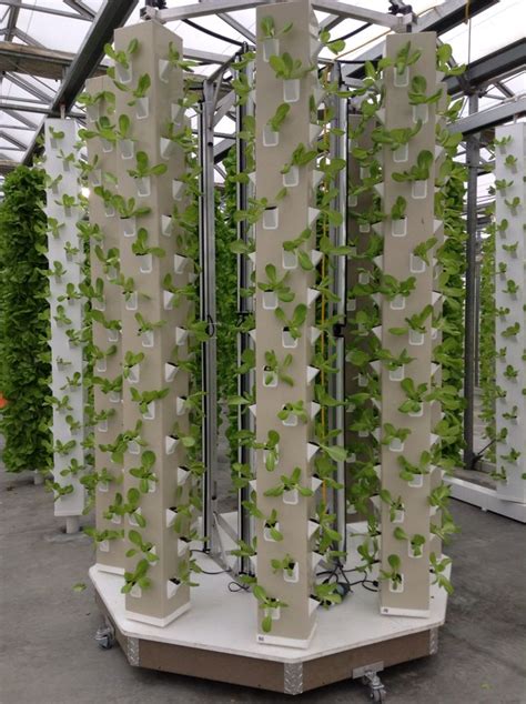 aero pod growing  plants   foot columns