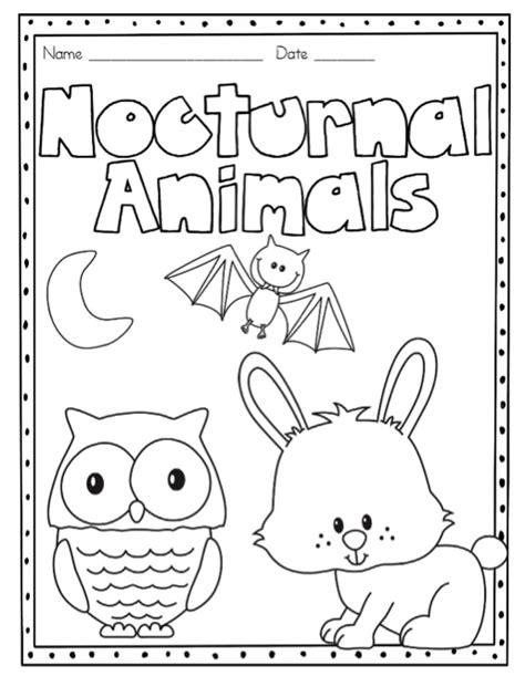 nocturnal animals printable coloring pages coloring pages