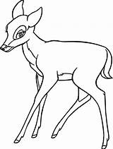Coloring Bambi Faline Colorare Disegni Colorear Gratuitamente Wecoloringpage Imprime sketch template