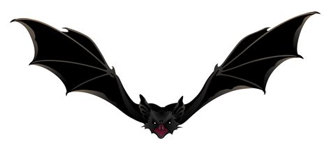 creepy bat png picture gallery yopriceville high quality