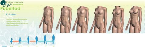 nude stages of puberty growth