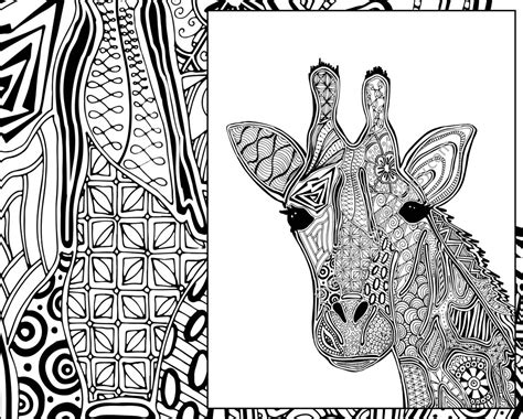 giraffe coloring page animal coloring page adult coloring etsy