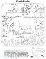 Coloring Endangered Pages Animals Flag Florida Species Getcolorings Sheets Printable Getdrawings Color Colorings sketch template
