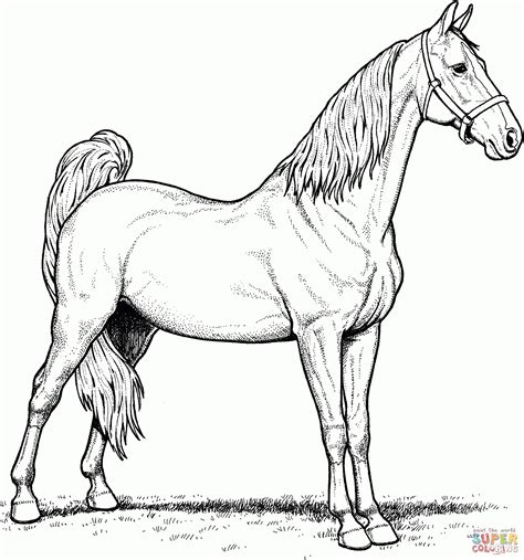 printable realistic horse coloring pages  printable