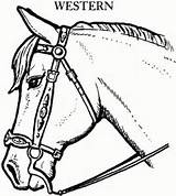 Bridle Clipart Horse Reins Clip Cliparts Parts Template Coloring Clipground Library sketch template