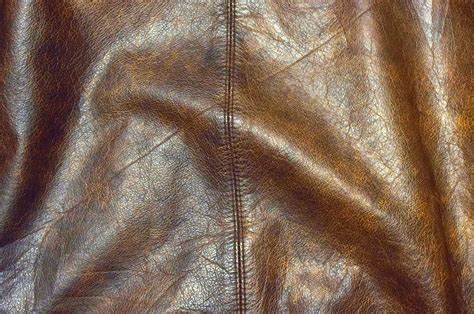 genuine leather   stock photo public domain pictures