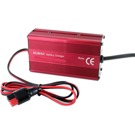intelligent smart automatic battery charger