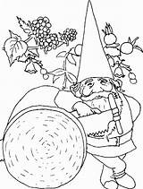 Gnome Coloring David Pages Rest Getcolorings Getdrawings sketch template