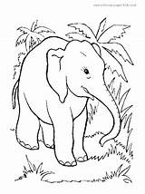Elephant Coloring Pages Kids Gift Christmas sketch template