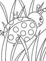 Pages Coloring Ladybug Kids Getcolorings sketch template