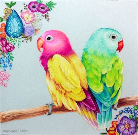 birds drawings  full image