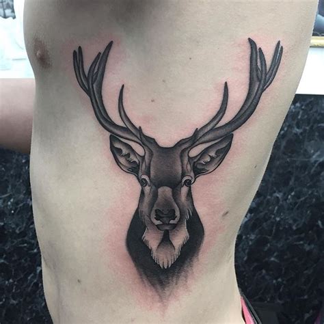 stag tattoo  today studio xiii gallery