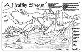 Coloring Stream Watershed Sheets Colouring Pages Water Drawing Placemats Healthy Sream Color Sheet Getdrawings 11x17 Placemat Getcolorings 93kb 350px sketch template