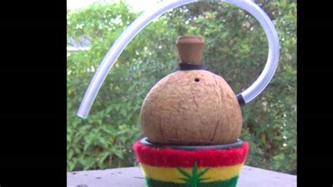 the rasta coconut chalice youtube