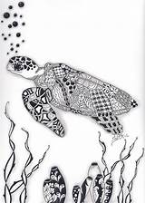 Zentangle Turtle Sea Coloring Drawings Doodle Pages Patterns Zentangles Animal Beach Animals Life Doodles Books Little Zoo Seahorses Sheets Insect sketch template