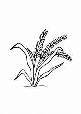 Getreide Malvorlagen Bauernhof sketch template