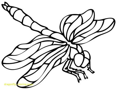 dragonfly coloring page  getcoloringscom  printable colorings