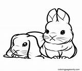 Bunnies sketch template