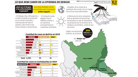 descuido y el cambio climático llevaron a epidemia de dengue los tiempos