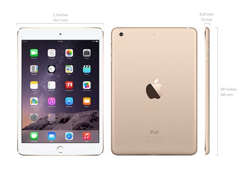 apple launches  ipad air ipad mini  start pre orders tomorrow  digital reader