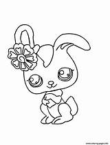 Coloring Pet Shop Littlest Pages Printable Lps Print Cartoon Color Bunny Scribblefun sketch template
