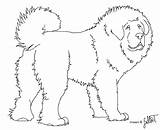Mastiff Tibetan Lineart Deviantart sketch template