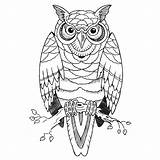 Tattoos Corujas Owls Burung Buho Hantu Coruja Rama Búho Divertir Salvar Pngwing Nicepng Bestcoloringpages sketch template