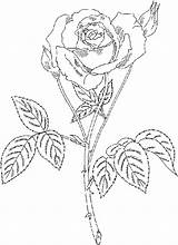 Coloring Roses Pages Rose Flower Flowers Printable Gif Roses3 Color Beautiful sketch template
