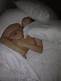 Ashley Graham Nude Photo