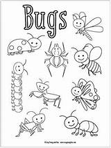 Coloring Bugs Pages Kids Bug Colouring Printable Easy Little Insects Insect Preschool Kindergarten Sheets Sheet Preschoolers Printables Summer Book Spring sketch template
