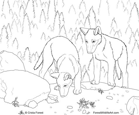 crista forests animals art wolf pups coloring book page