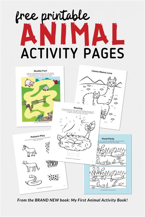 printable animal activity packet  kids    child fun