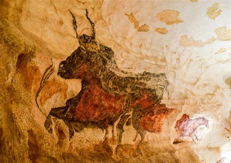 stone age cave paintings  france     travel