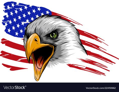 american eagle against usa flag royalty free vector image