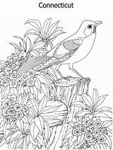 State Coloring Bird Flower Pages sketch template