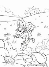 Biene Honig Ausmalbild Sammelt Ausmalbilder Insekten Malvorlagen Honigtopf sketch template