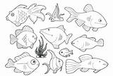 Coloring Fish Pages Saltwater Getcolorings sketch template