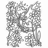 Fargelegging Blomster Vakre Cerezo Jenta Hermosas Toddler Camellia Carnation sketch template