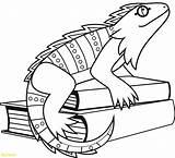 Iguana Coloring Drawing Cartoon Outline Printable Pages Clipart Template Getdrawings Paintingvalley Getcolorings sketch template