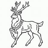 Renne Artistique Rudolph Nez Reindeer sketch template