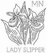 Lady Embroidery Slipper Flower Clipart Minnesota Patterns State Slippers Bordar Para Hand Dibujos Drawing Clipground Flickr Designs Read Stitch sketch template