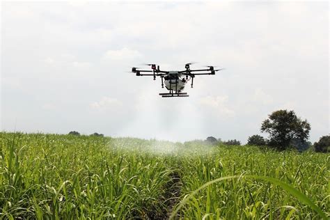 role  drone technology   agriculture sector remoteflyer