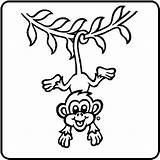 Monkey Hanging Coloring Monkeys Jungle Clipartmag sketch template