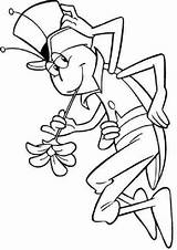 Colorat Maja Biene Furnica Bee Kleurplaten P08 Desene Malvorlage Planse Grasshopper Ant Primiiani Ants Desen Ausmalbild Malvorlagen1001 Animaatjes Kleurplaat sketch template