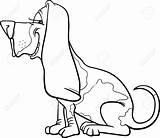 Dog Coon Basset Hound Coloring Cartoon Hunting Drawing Stock Funny Illustration Getdrawings Dogs sketch template