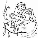 Coloring Monkeys Monkey Pages Kids Cute Simple Print Baby Family Mother Children Toddler Printable Animals Squirrel Will sketch template