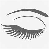 Eyelash Eyebrow Clipart Eyelashes Silhouette Clip Transparent Clipartcraft sketch template