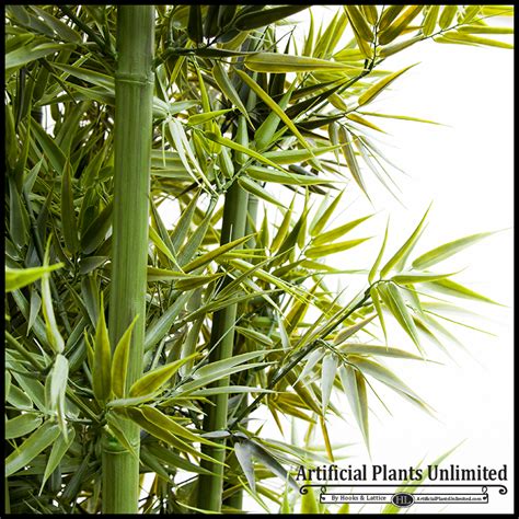 bamboo privacy plants   space artificial plants unlimited blog